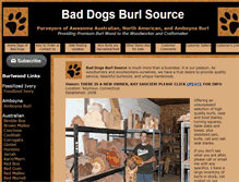 Tablet Screenshot of burlsource.com